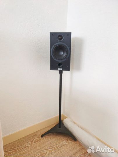 Tannoy mercury F1 custom