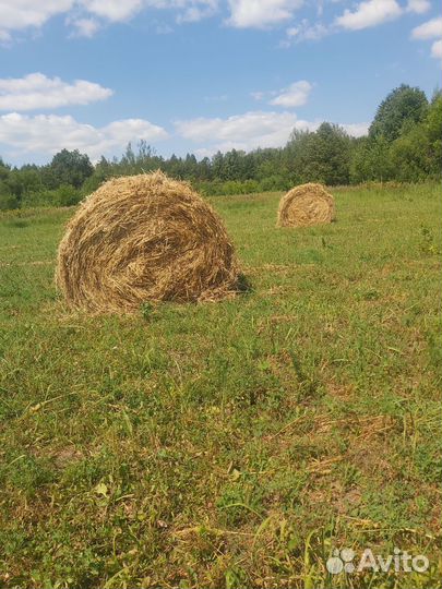 Сено в рулонах