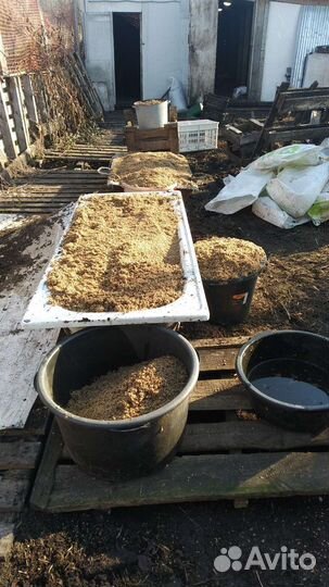 Пивная дробина, хлеб, молоко+мясо,колбасыдлясобак