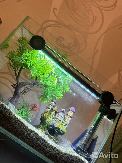 Аквариум с рыбкой на 9 литров 35х15х25