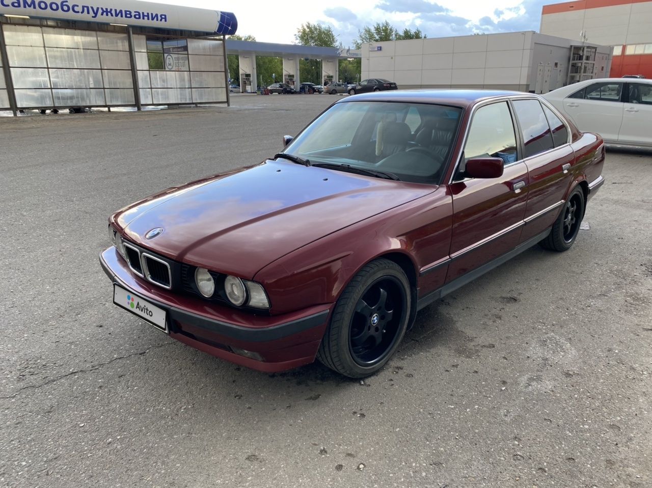 BMW 5 серия: фото владельца