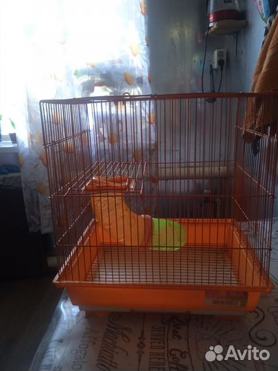 Большая клетка для грызунов