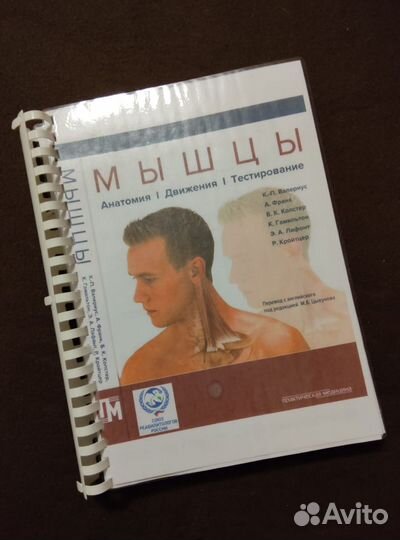 Мышцы. Анатомия. Движения. Тестирование