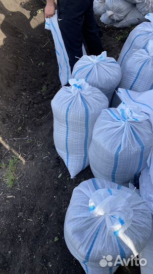 Чернозем плодородный