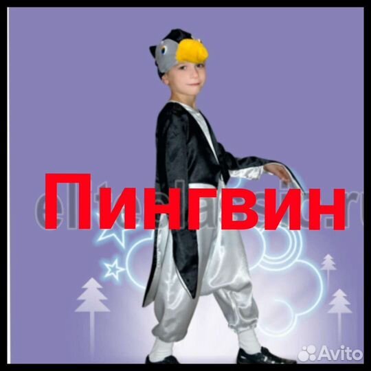 Костюм Снегирь, Пингвин, сорока, попугай, синичка