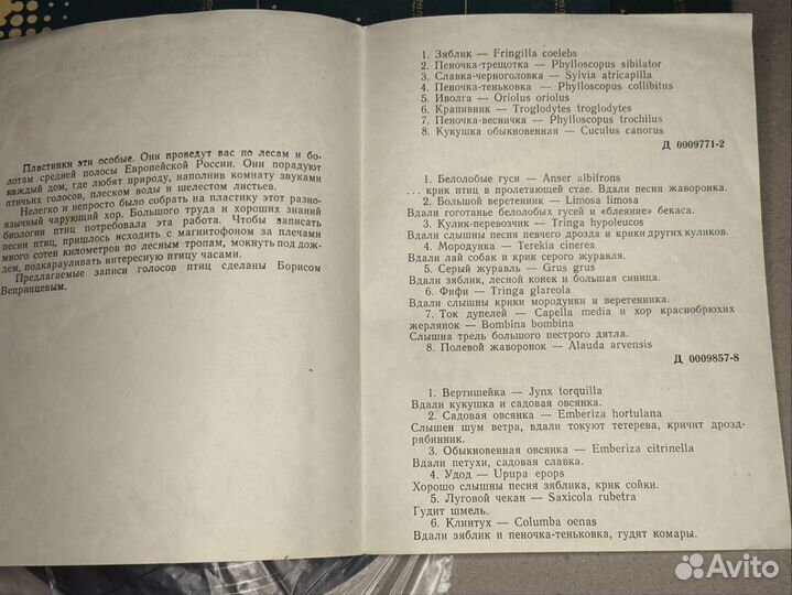 Голоса птиц в природе. Виниловые пластинки