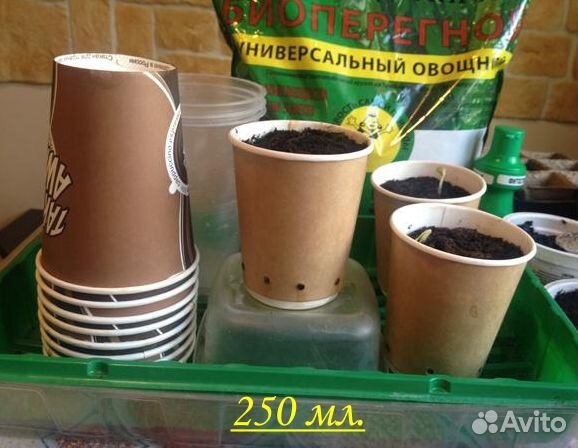 Стаканчики для рассады