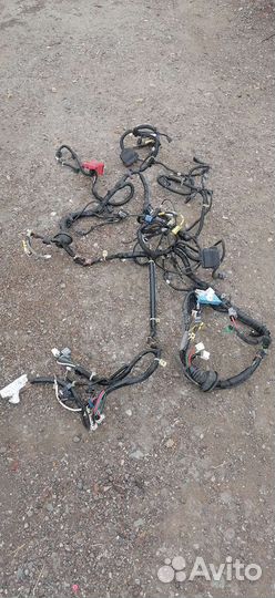 Проводка подкапотная Honda insight