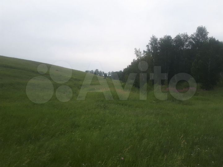 Участок 4,74 га (СНТ, ДНП)