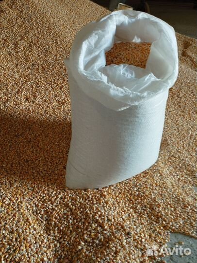 Продам кукурузу