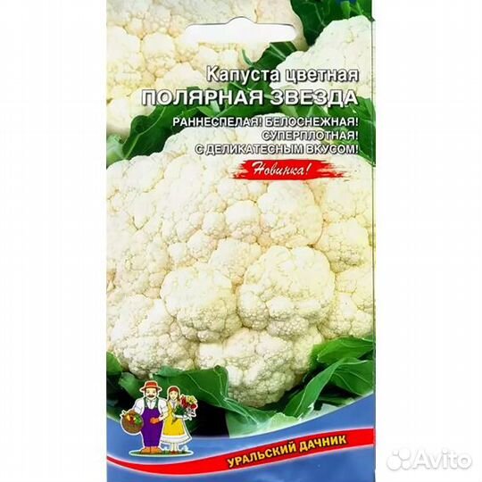 Капуста цв. Полярная Звезда