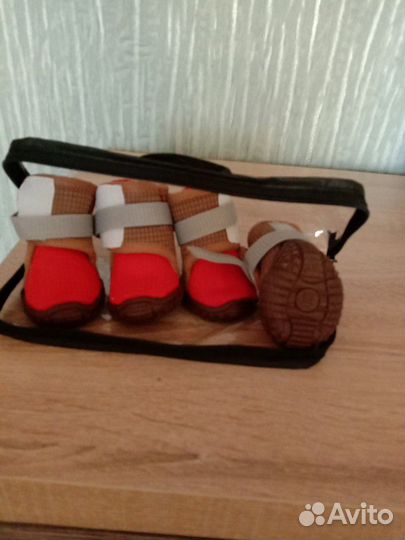 Обувь для собак