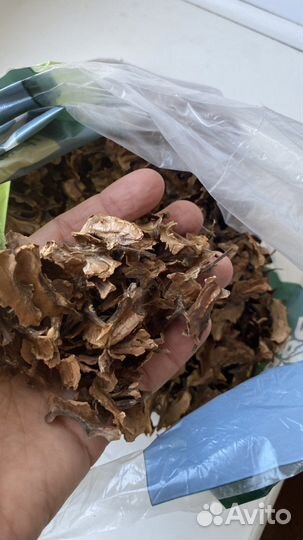 Перегородки грецкого ореха