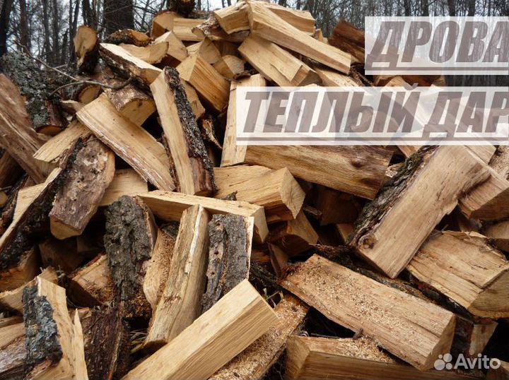 Дрова сухие