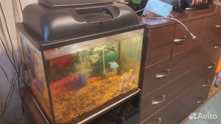 Аквариум 42*25*33