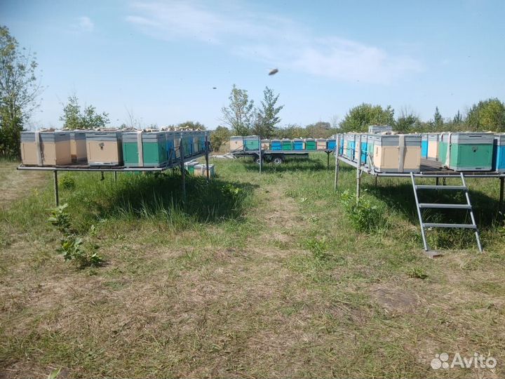 Модуль-платформы для перевозки пчел