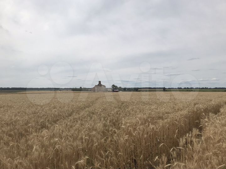 Участок 10 га (СНТ, ДНП)