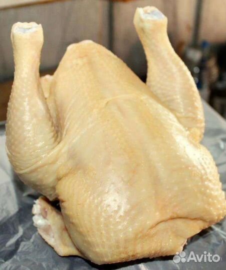 Мясо домашнего бройлера, тушками
