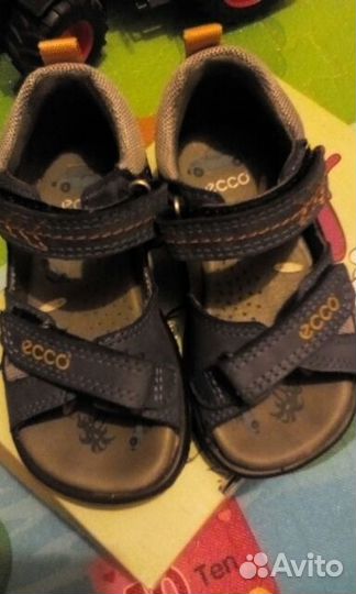 Ecco 22 р