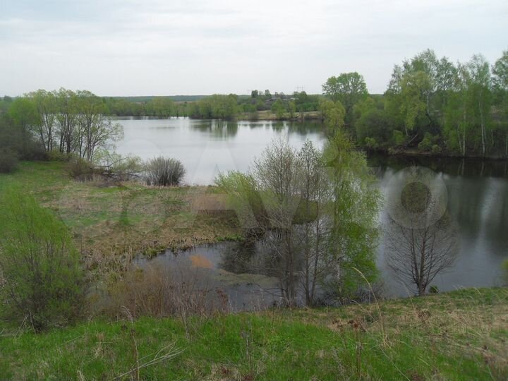 Дом 52,9 м² на участке 51 сот.