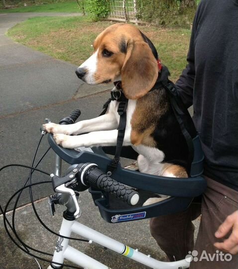 Велокресло для собак как Buddyrider