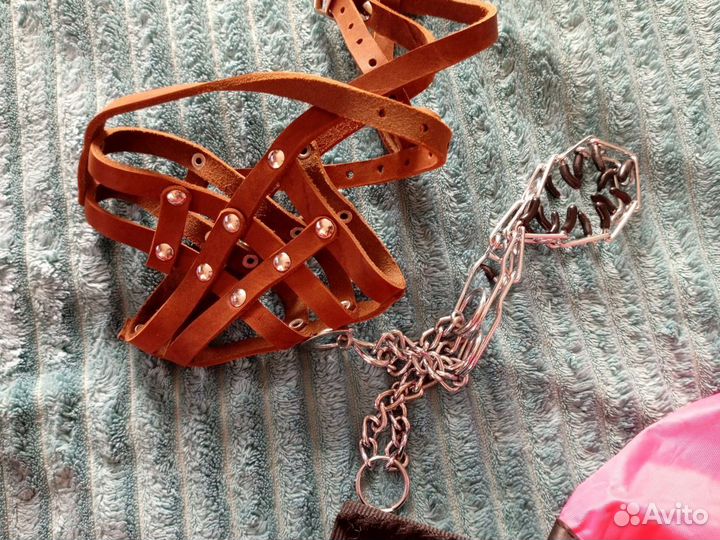 Амуниция для собаки средней породы