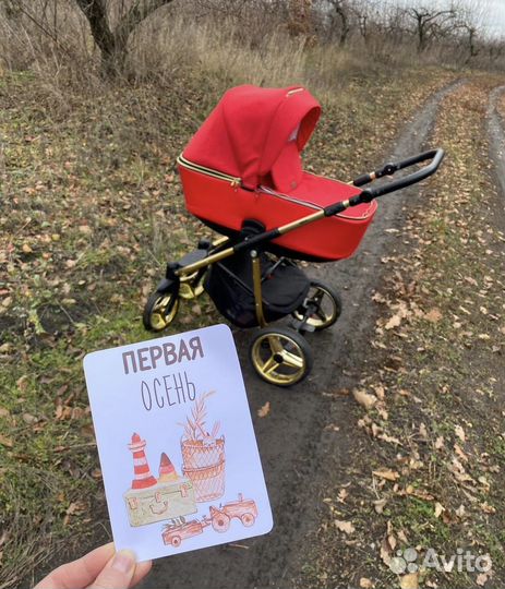 Коляска 2 в 1 adamex