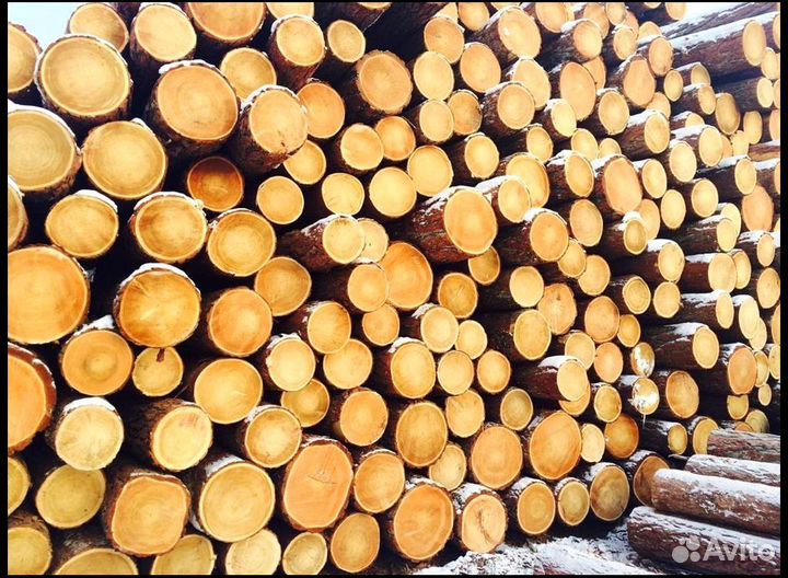 Купим лес-кругляк, хвоя, Ф от 20, любые объемы