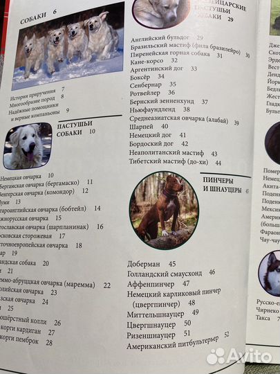 Энциклопедия и «хочу собаку»