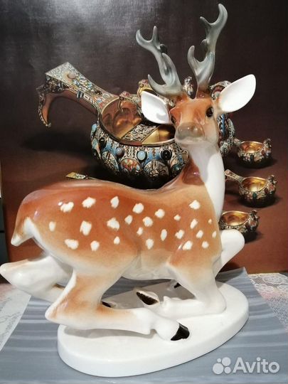 Фарфоровая красота