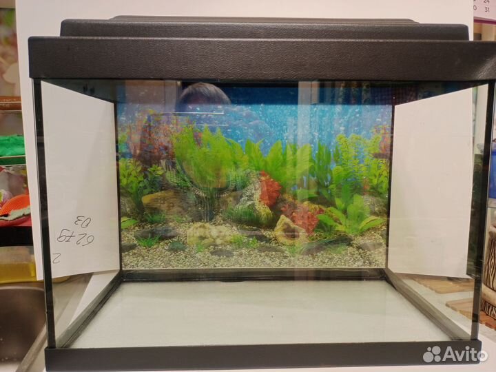 Аквариум 30 л с плоской крышкой
