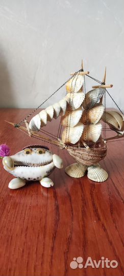 Ракушки морские