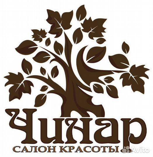 Администратор