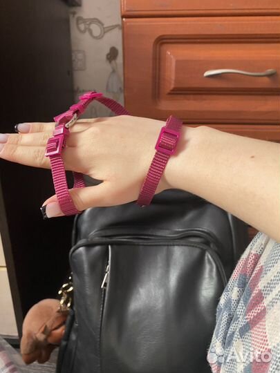 Шлейка для маленькой собаки