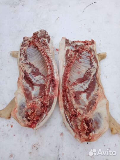 Мясо свинины