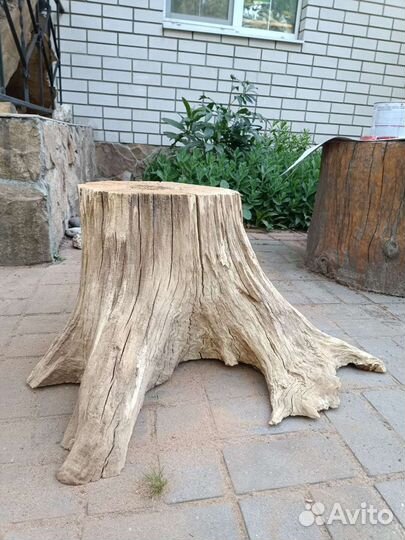 Пень с комелем, Подстолье под скамью