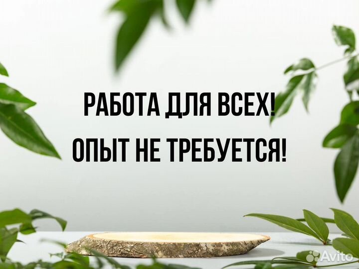 Мойщики вахта/жилье предоставляется