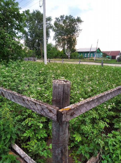 Дом 25 м² на участке 6 сот.