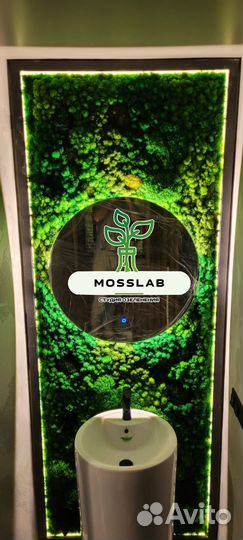 Стабилизированный мох/ озеленение