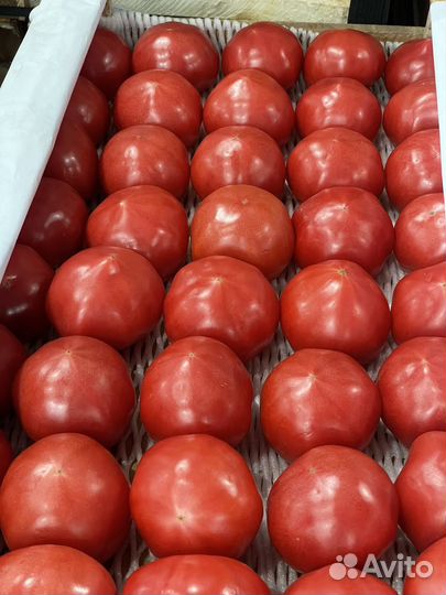 Овощи фрукты опт