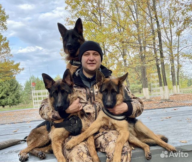 Кинолог эксперт. Оплата за результат. Гарантия