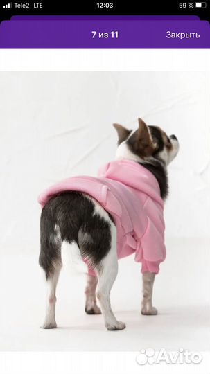 Кофточка для собак