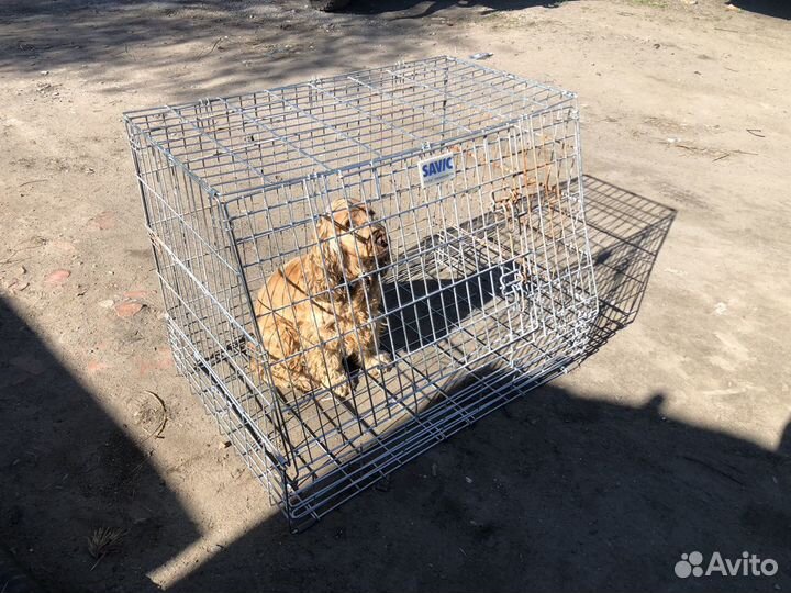 Вольер-манеж для собак бу