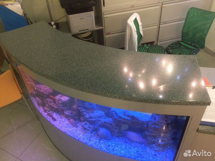 Обслуживание аквариумов