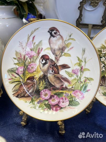 Декоративные настенные тарелки Ursula Band