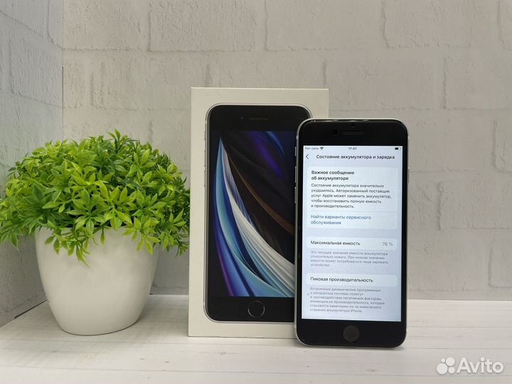 iPhone SE (2020), 64 ГБ