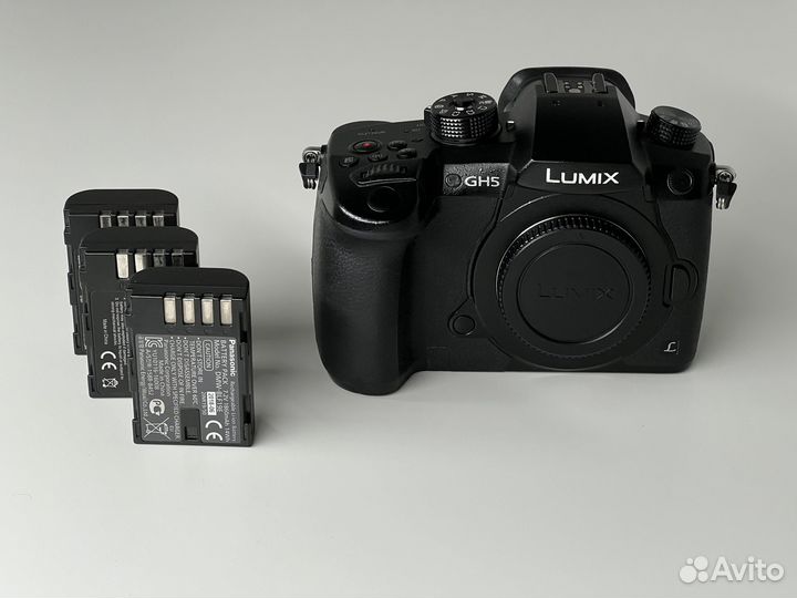 Panasonic Lumix GH5