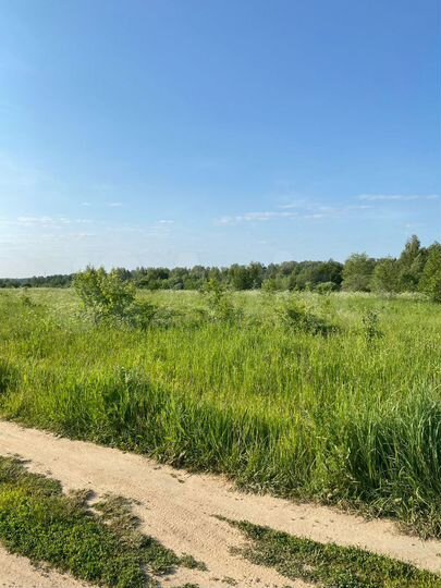 Участок 100 сот. (СНТ, ДНП)