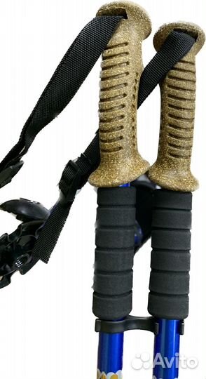 Палочки для скандинавской ходьбы Extreme