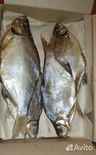 Цимлянский Лещ вяленый и х/к на заказ